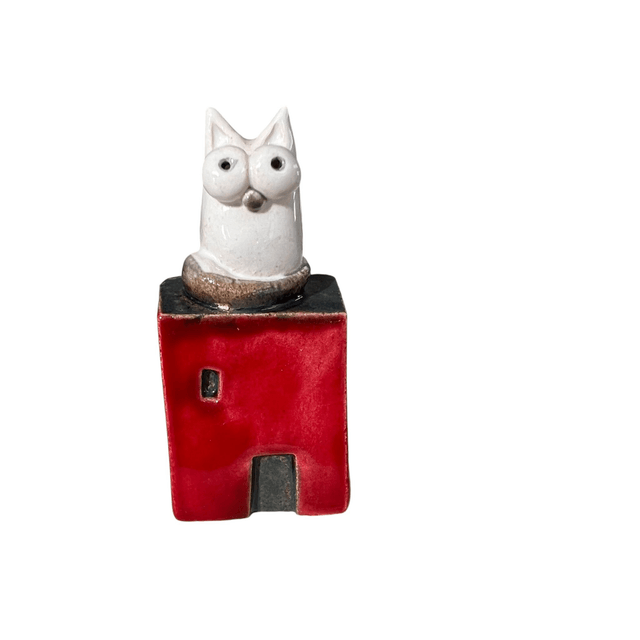 Casa gatto 