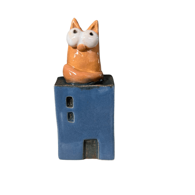 Casa gatto 