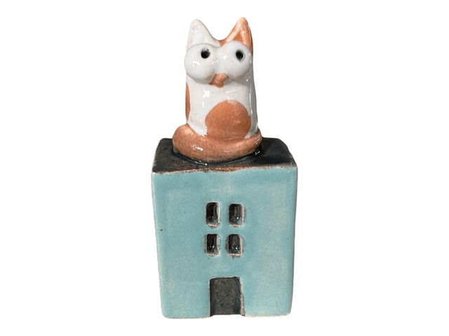 Casa gatto 