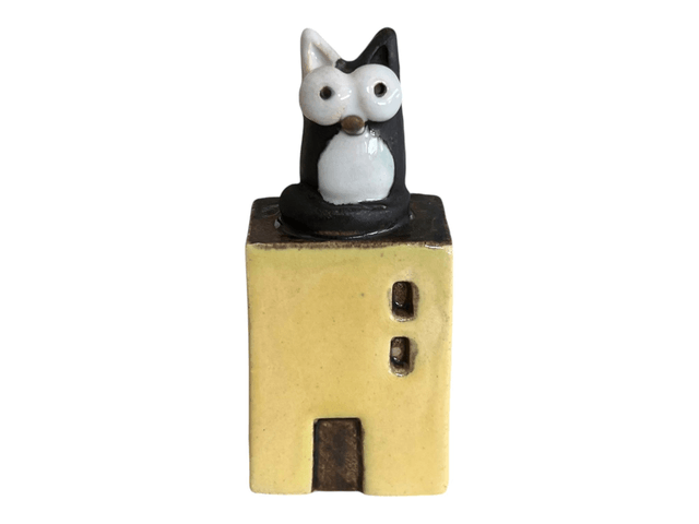 Casa gatto 