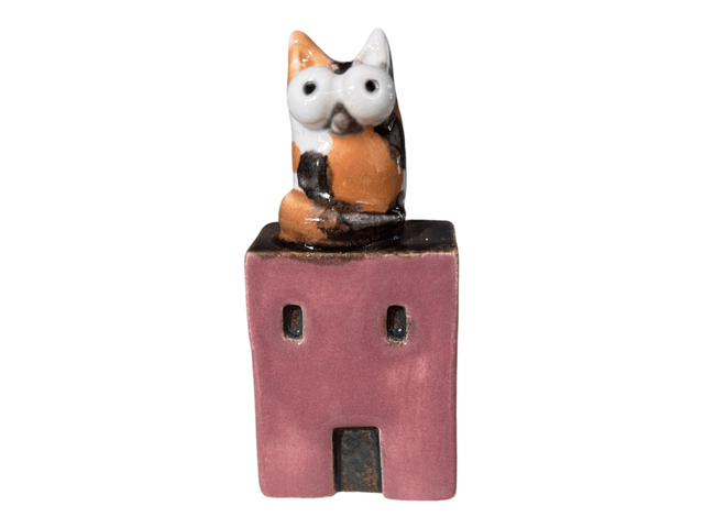 Casa gatto 