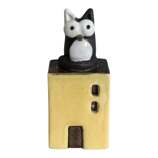 Casa gatto 